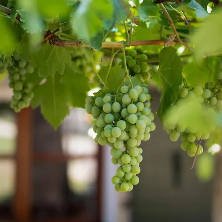 Casa-pietra Porec Дом отдыха *