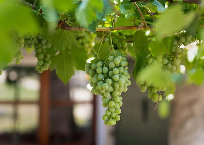 Casa-pietra Porec Feriehus *